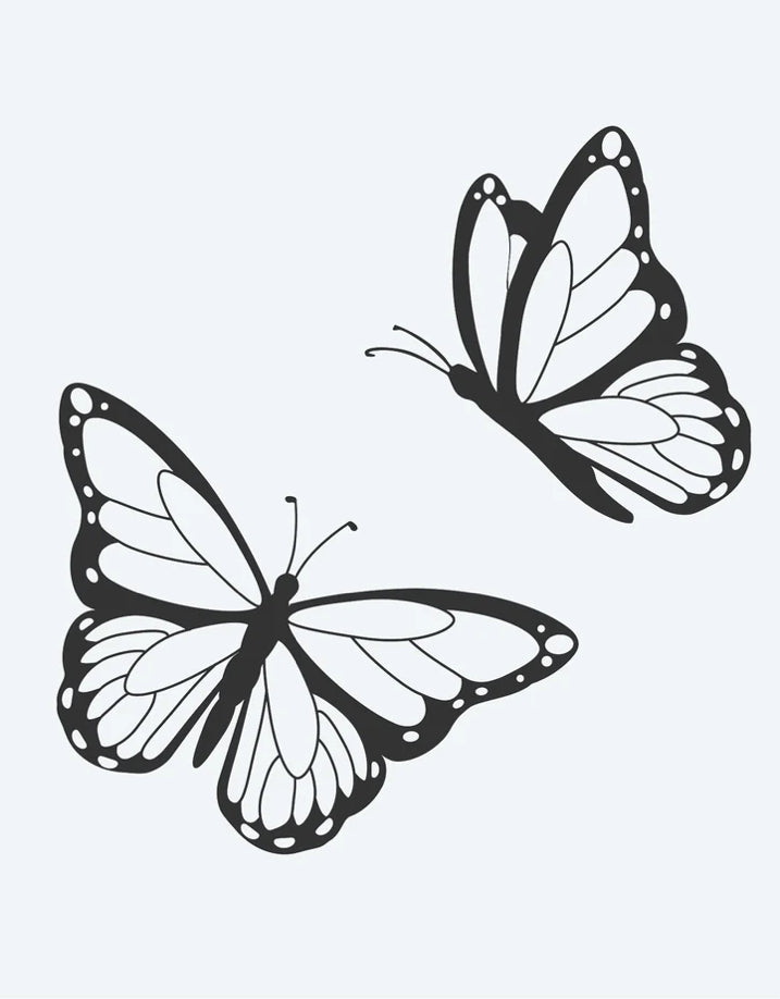 Duo de papillons