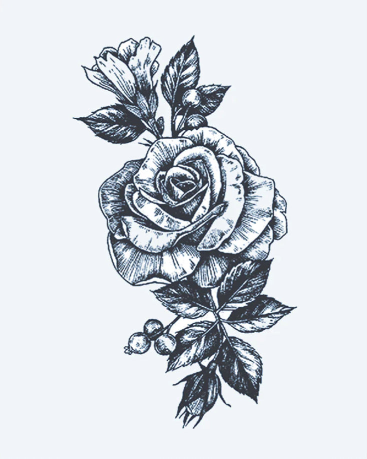 Rose bloom