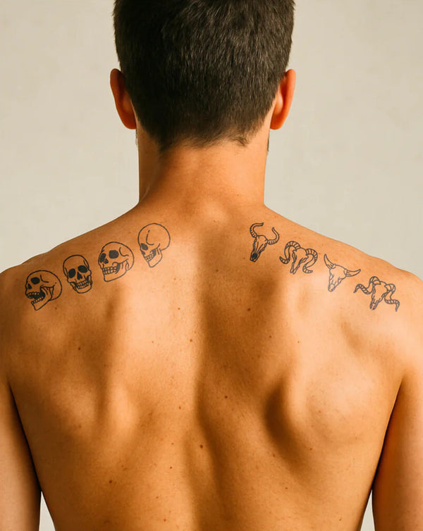 Collection de crânes