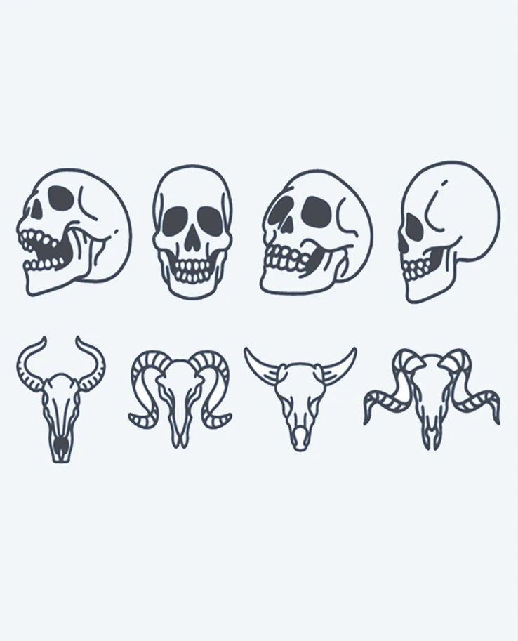 Collection de crânes